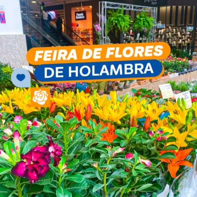 O encanto das flores de Holambra está de volta!