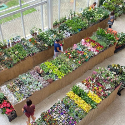 Feira de Flores de Holambra